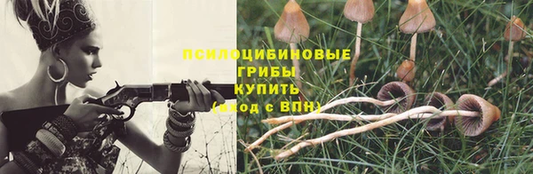 мяу мяу мука Вяземский