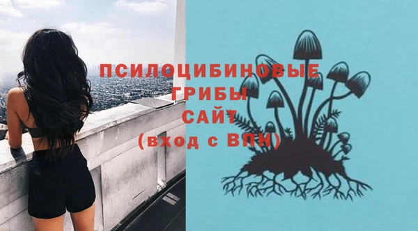 мяу мяу мука Вяземский