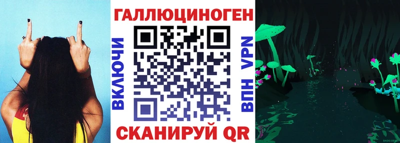где можно купить наркотик  Зерноград  Псилоцибиновые грибы Cubensis 